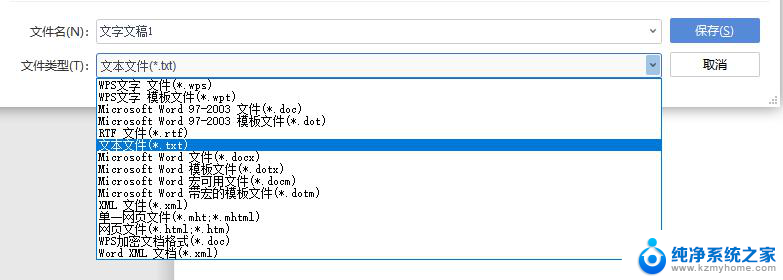 wps怎么设置txt模式 wps的txt模式设置方法