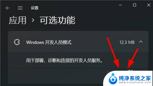 win11 开发人员主页 Windows11开发人员模式如何卸载