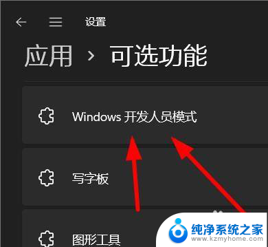 win11 开发人员主页 Windows11开发人员模式如何卸载