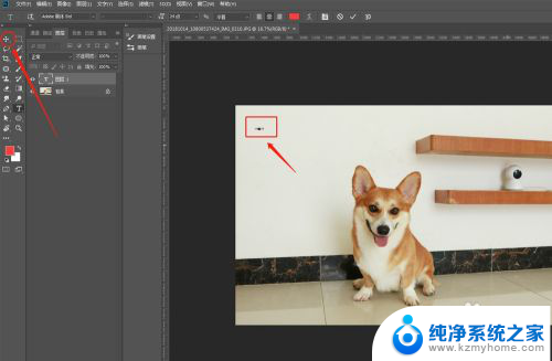 photoshop添加文字 如何在Ps中给图片添加文字