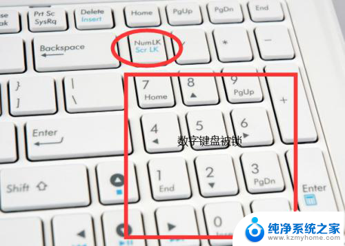 开启数字键盘是哪个键 笔记本电脑怎样打开数字键盘