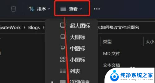 windows11更改文件类型 Win11系统怎么批量更改文件后缀