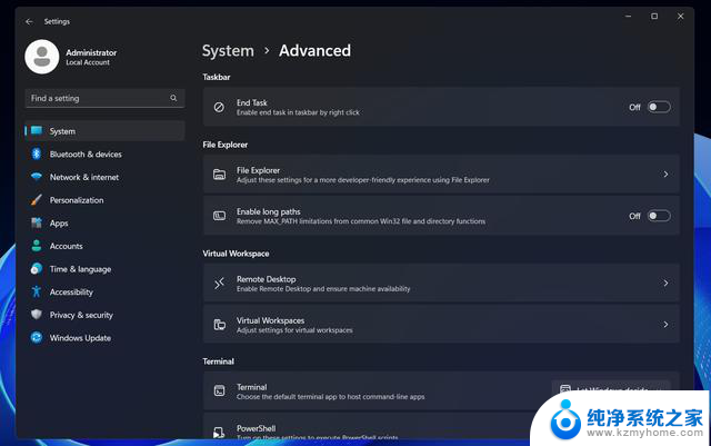 微软Win11设置应用优化：高级页面更名“开发者专用”