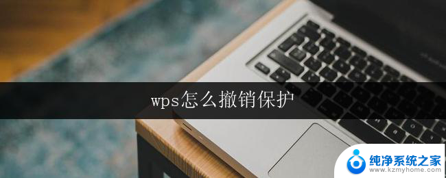 wps怎么撤销保护 wps撤销文档加密方法