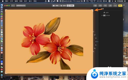 苹果电脑如何裁剪图片 苹果电脑如何使用剪裁工具剪裁照片