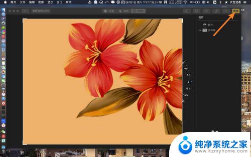 苹果电脑如何裁剪图片 苹果电脑如何使用剪裁工具剪裁照片