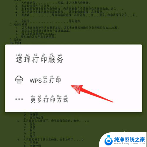 电脑wps怎么连接打印机 手机版wps office如何连接打印机