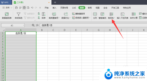 表格设置是否 Excel表格如何设置单元格只允许选择是或否