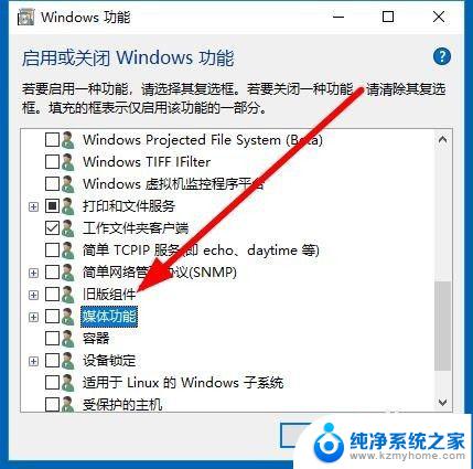 windows在哪里找wmp播放器 Win10怎么重新安装Windows Media Player播放器