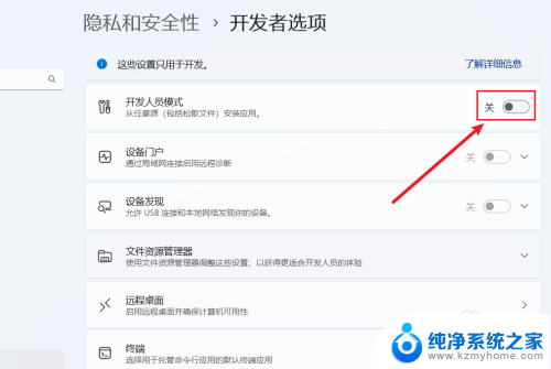 win11进入开发者模式 win11如何开启开发者设置