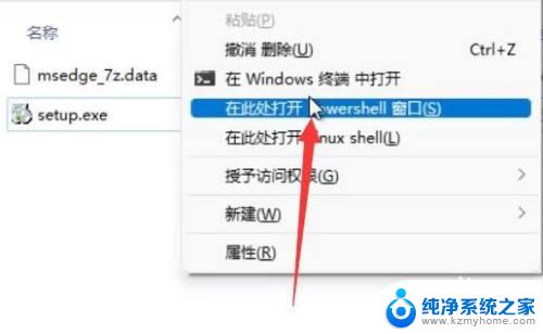 win11 edge 卸载 win11卸载edge教程及注意事项