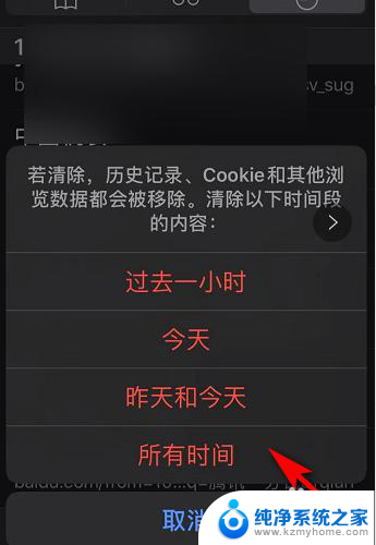 苹果手机如何删除浏览记录 如何在苹果手机上清除浏览器历史记录