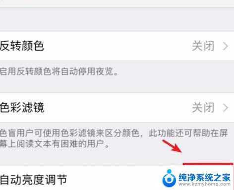 苹果怎么设置不自动调节屏幕亮度 苹果11屏幕亮度自动调节怎么关闭