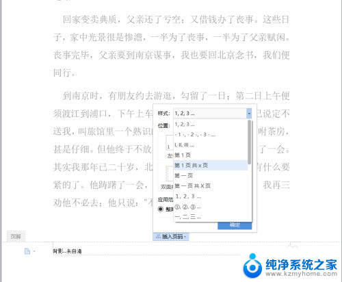 怎么加页脚 Word文档页脚页码插入技巧