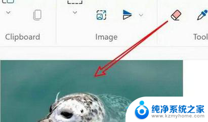 win11裁剪图片 Win11画图工具图片大小调整步骤