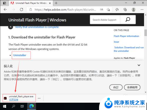 怎么删除flash插件 win10怎么清理flash插件