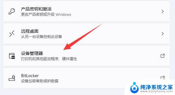 win11怎么查看显卡驱动 Win11电脑显卡配置查询方法