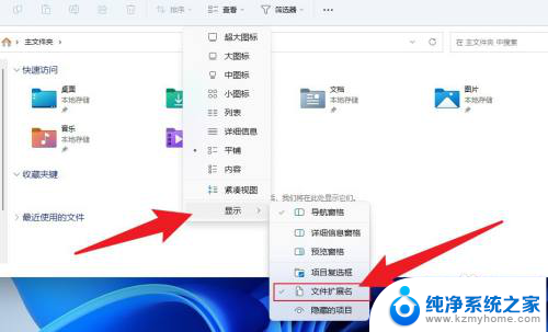 win11的后缀名 Win11如何显示文件后缀名