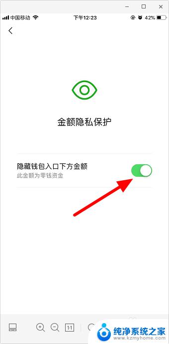 怎么隐藏微信余额数字 怎么在微信钱包里设置不显示钱数