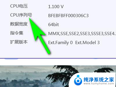 如何查看cpu序列号 在电脑上如何查看CPU的序列号