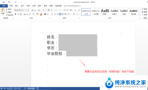 word文档怎么添加空白下划线 Word中如何为空格内容添加下划线