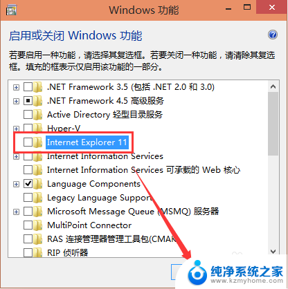 如何卸载系统自带浏览器 Win10系统怎样彻底卸载IE浏览器