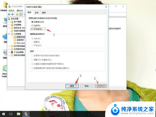 加密文件系统怎么关闭 如何在Win10系统上禁用EFS文件加密