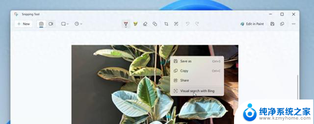 微软更新Win11截图工具：调用Bing实现以图搜图功能，让你轻松找到想要的图片