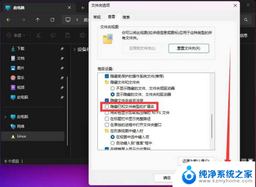 win11怎么显示文件格式 Win11文件类型后缀名显示设置方法