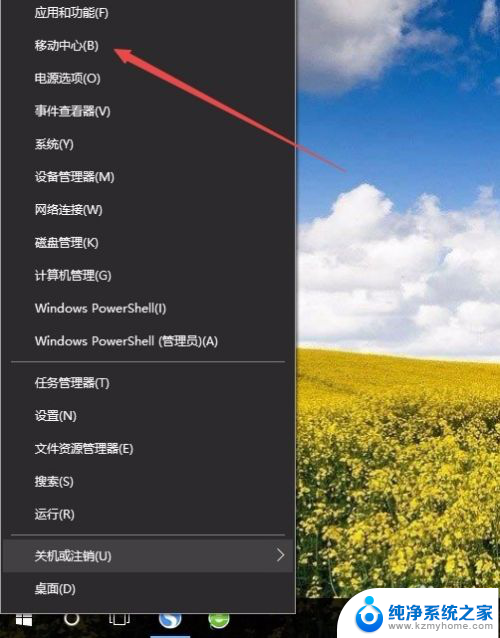 如何设置显示器亮度 Win10电脑显示器亮度如何调整