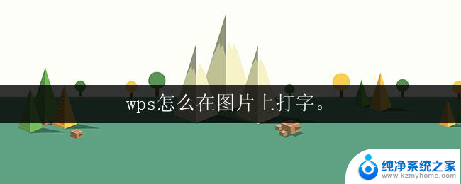 wps怎么在图片上打字。 wps图片编辑器中如何在图片上打字