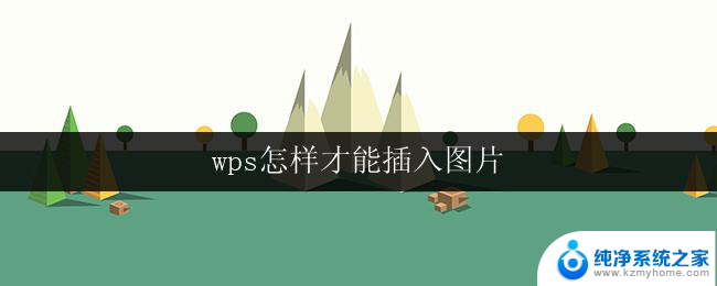 wps怎样才能插入图片 wps怎样才能插入图片到文档中