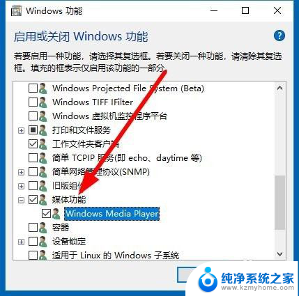 电脑上没有播放器怎么播放视频 Win10如何下载安装Windows Media Player播放器