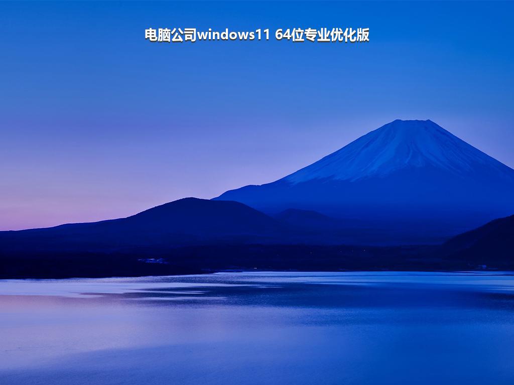 电脑公司windows11 64位专业优化版