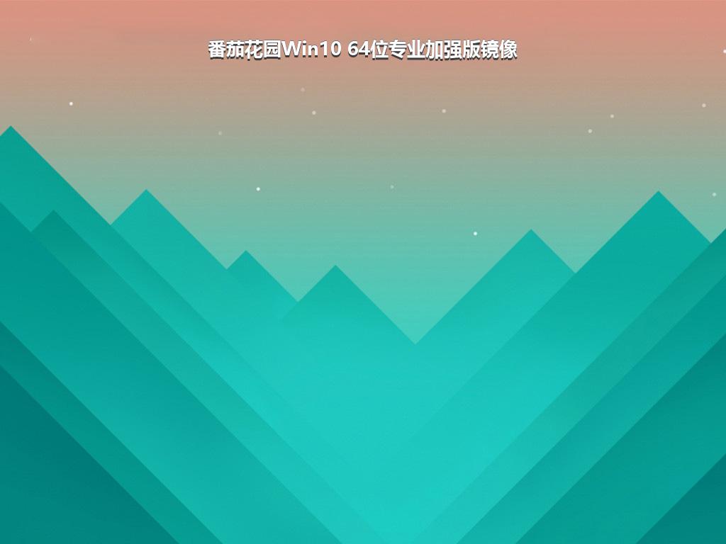 番茄花园Win10 64位专业加强版镜像