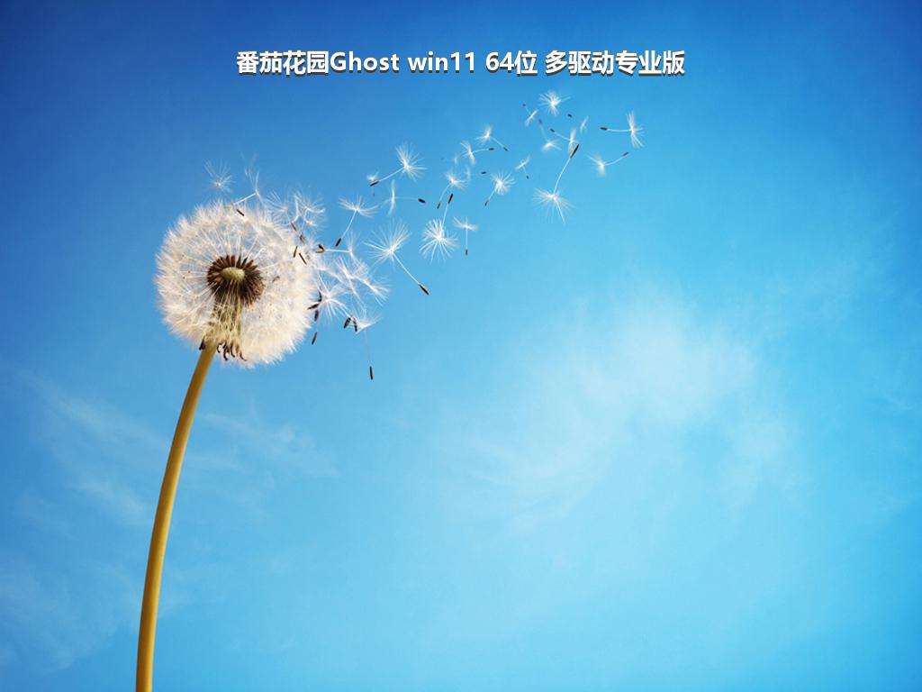 番茄花园Ghost win11 64位 多驱动专业版