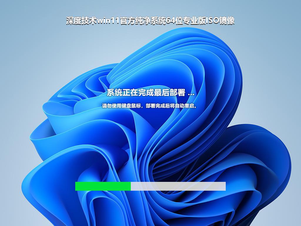 深度技术win11官方纯净系统64位专业版ISO镜像