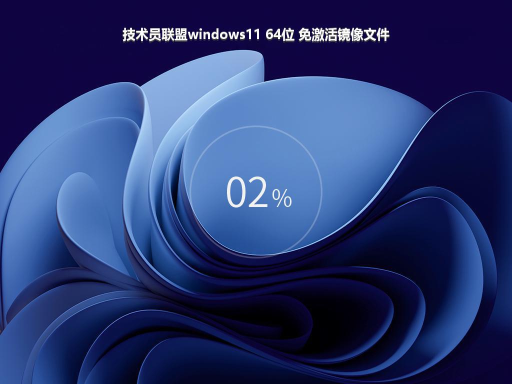 技术员联盟windows11 64位 免激活镜像文件