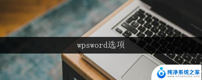 wpsword选项 wpsword教程