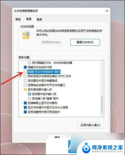 win11看文件后缀 Win11文件扩展名显示方法