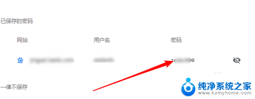 浏览器保存密码在哪里查看 浏览器上保存的密码如何查看