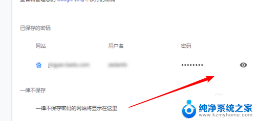 浏览器保存密码在哪里查看 浏览器上保存的密码如何查看