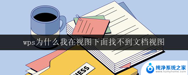 wps为什么我在视图下面找不到文档视图 wps视图菜单中找不到文档视图解决方法