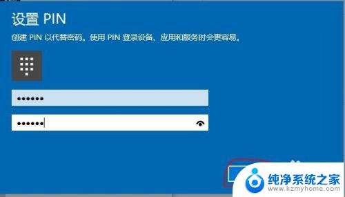 win10电脑怎么查看pin Windows10的PIN密码是什么