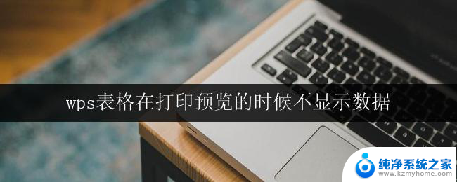 wps表格在打印预览的时候不显示数据 wps表格打印预览中没有数据显示