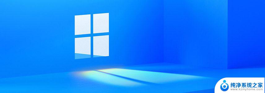 win11专业版选哪个 Windows11专业版与家庭版性能对比