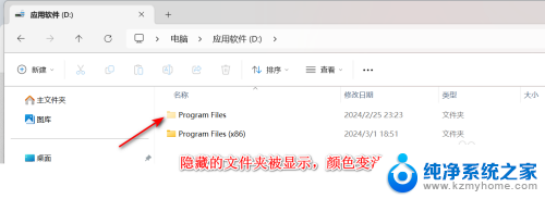 win11隐藏文件无法显示 win11怎么显示隐藏文件夹