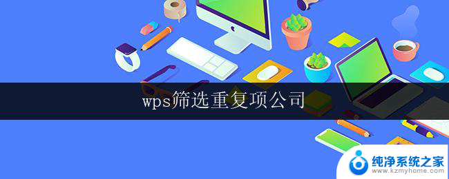 wps筛选重复项公司 wps筛选重复项公司功能